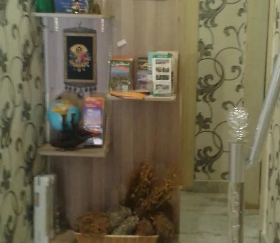 My Nevizadem Istanbul