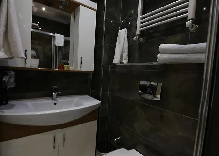 My Nevizadem 3* Istanbul